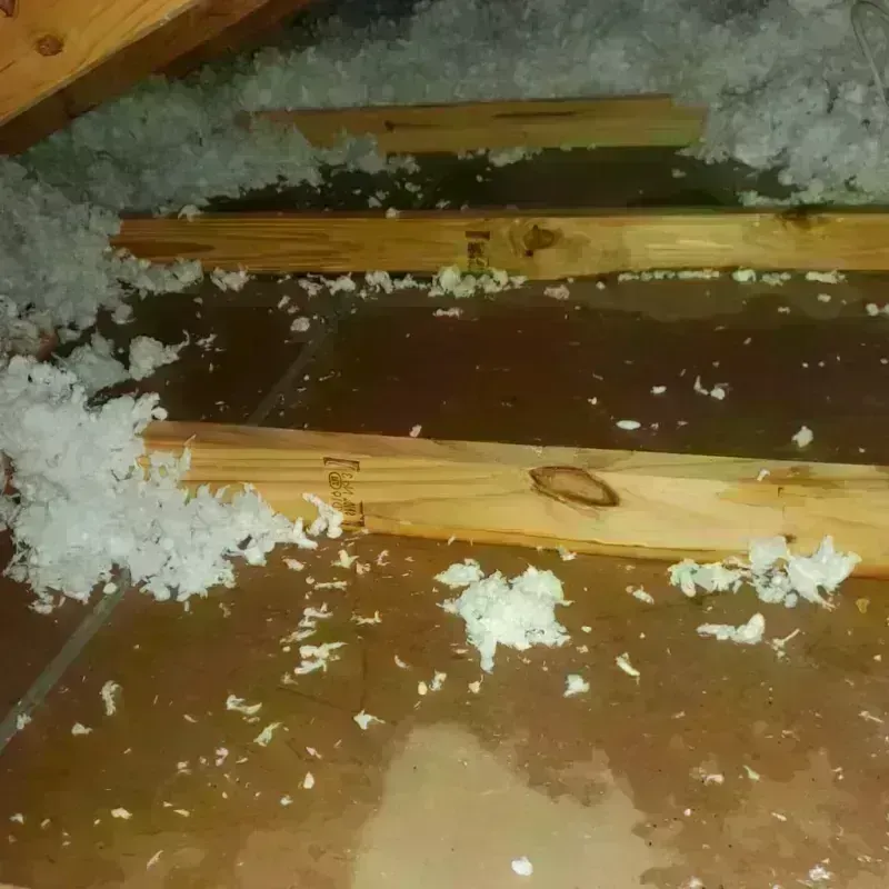 Attic Water Damage in Davenport, FL