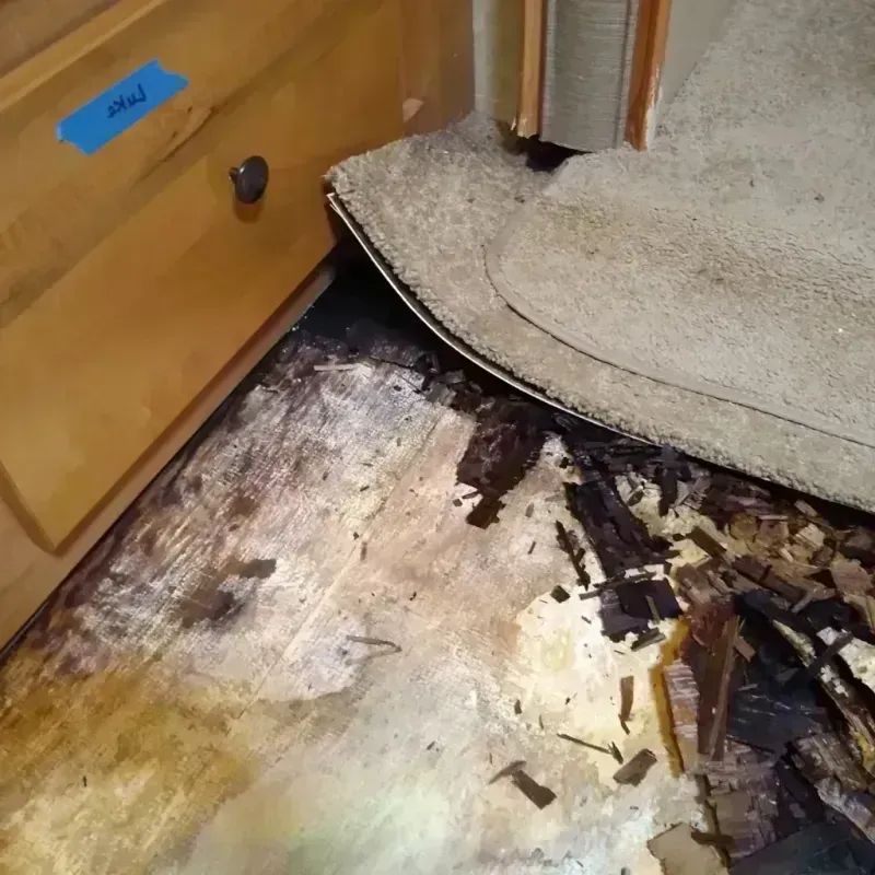 Wood Floor Water Damage in Davenport, FL